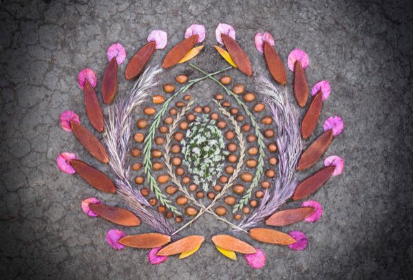 A spiral altar of acorns, feathers, and seeds