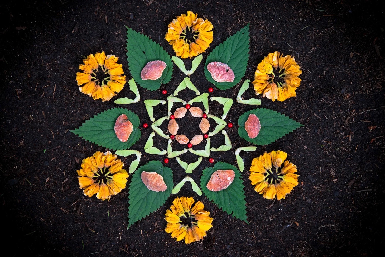 A star-shaped nature altar of yellow marigolds and green leaves on dark earth