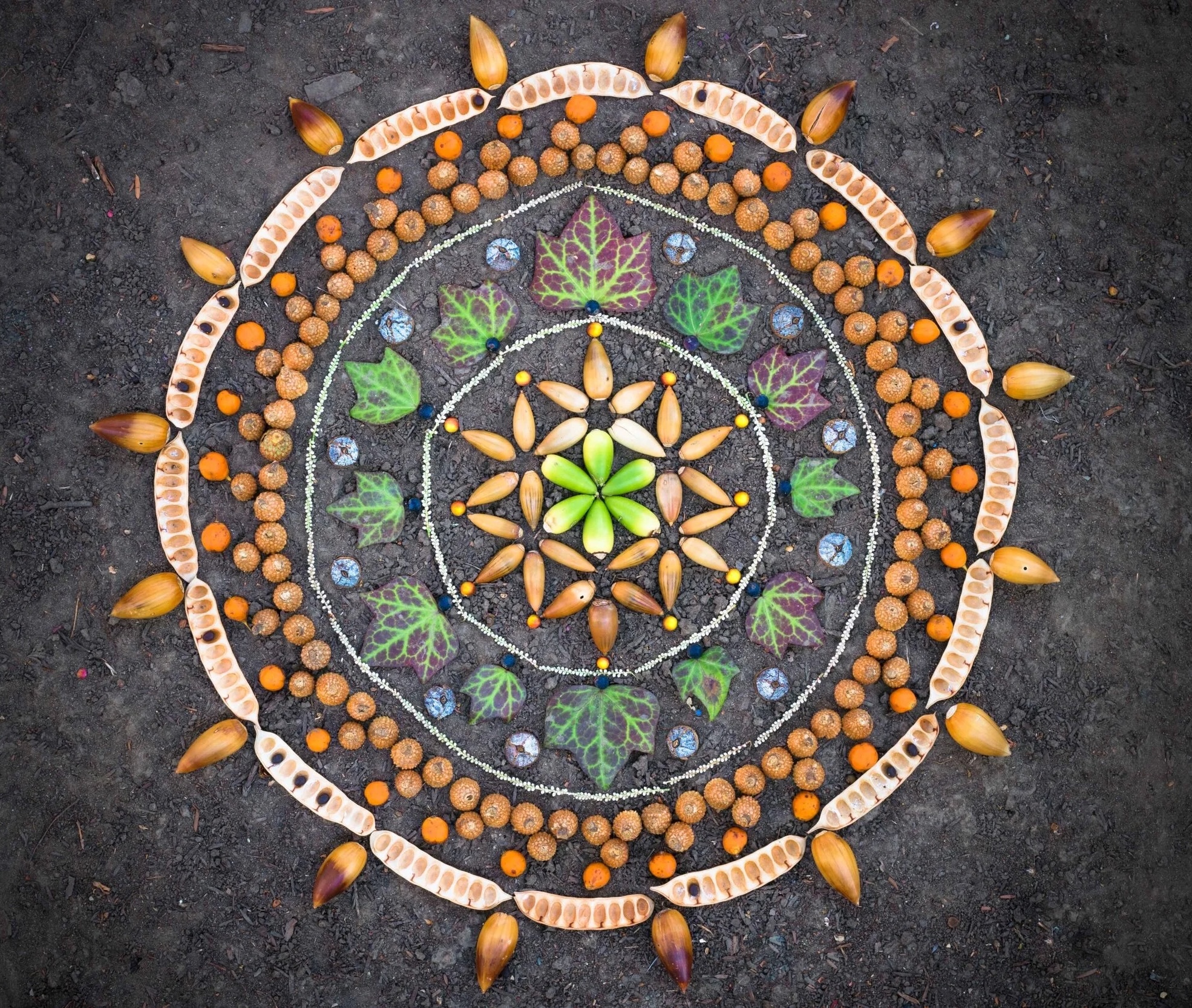 An intricate radial nature altar of acorns, seed pods, leaves, and berries arranged on the forest floor